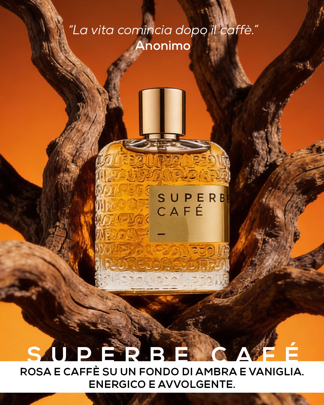 Superbe Cafè di LPDO