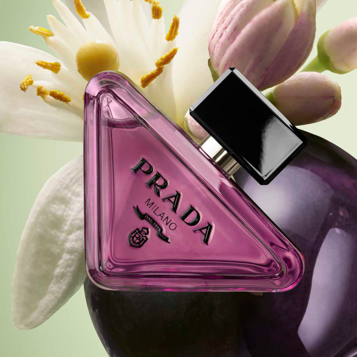Prada Paradoxe Sweet Chemistry di Prada