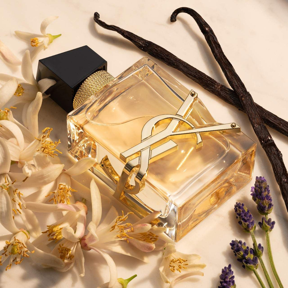Libre Eau de Parfum di Yves Saint Laurent